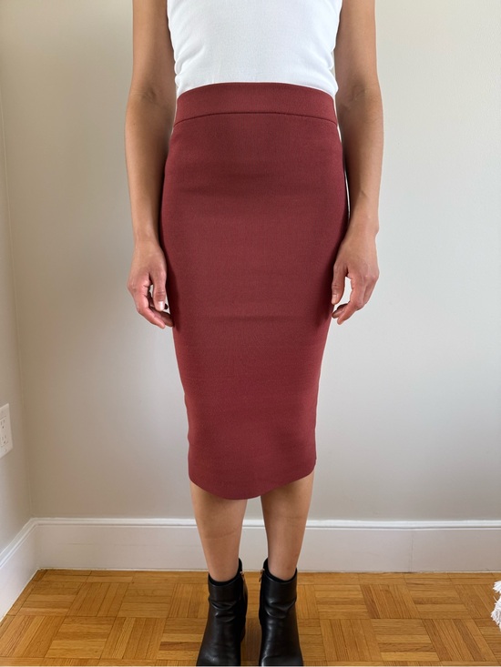 Babaton Dresses & Skirts - Babaton/Aritzia Rust/Red High-Rise Pencil Skirt